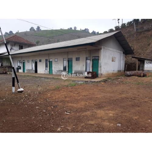 Kebun Teh Produktif & Pabrik Pengolahannya Serta Mess Karyawan dan Satu Pemilik - Majalengka