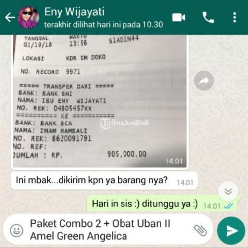 Perawatan Rambut Rontok, Penipisan Rambut Atasi Paket Combo 2 Green Angelica - Manado