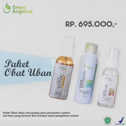 Minyak Uban Paling Mujarab Atasi Uban Secara Permanen, Obat Uban Green Angelica - Makassar