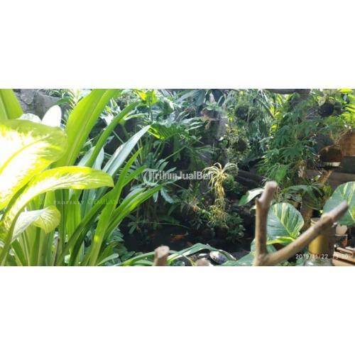 Rumah Asri di Kawasan Hotel Daerah Prawirotaman dan Kampung Bule - Jogja