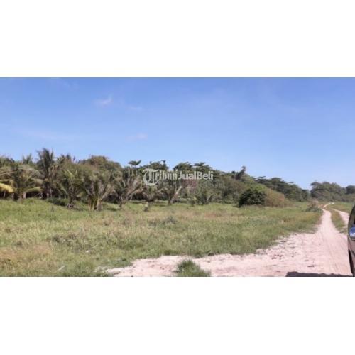 Jual Lahan Tanah 4 Hektar Pinggir Pantai Waiyapu Strategis SHM Harga Murah - Sumba Barat Daya