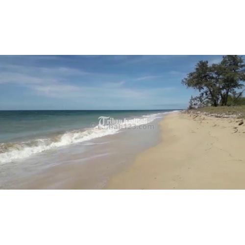 Jual Tanah Murah 6 Hektar di Pantai Laipori SHM Strategis Harga Nego - Sumba Timur