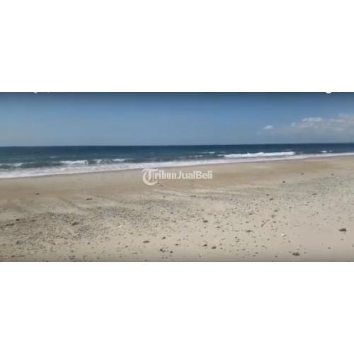 Jual Tanah Murah di Pantai Patawang Strategis Harga Nego - Sumba Timur