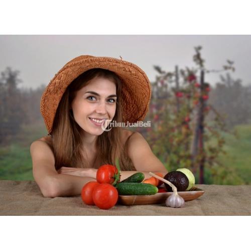 PIjat Panggilan Pekanbaru 24 jam Terapis Berpengalaman - Pekanbaru