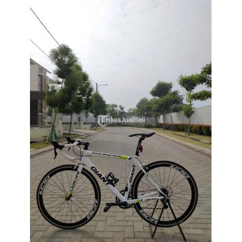 Jual roadbike online giant