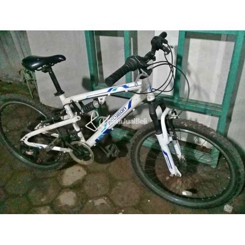 Polygon mtb 2024 rapid 24