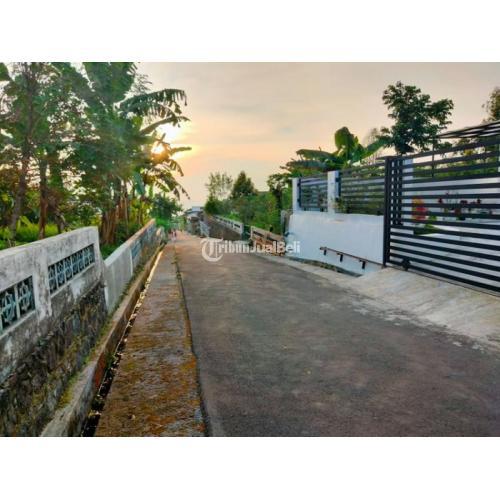 Tanah Datar View Kebun teh Kemuning Ngargoyoso Karanganyar