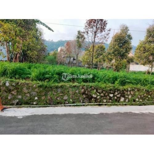 Tanah Datar View Kebun teh Kemuning Ngargoyoso Karanganyar