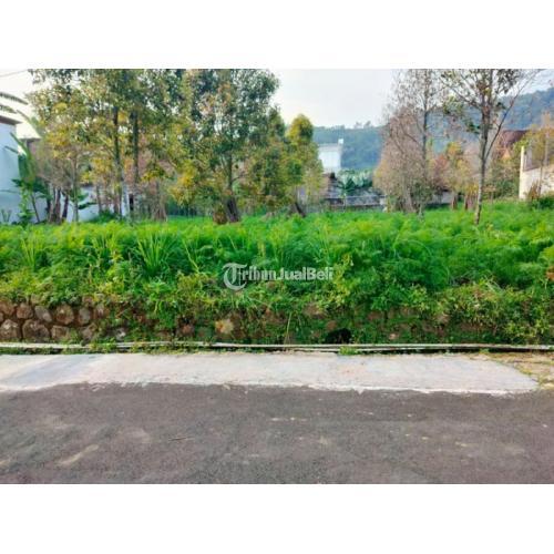 Tanah Datar View Kebun teh Kemuning Ngargoyoso Karanganyar