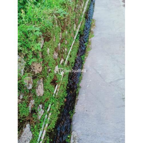 Tanah Datar View Kebun teh Kemuning Ngargoyoso Karanganyar