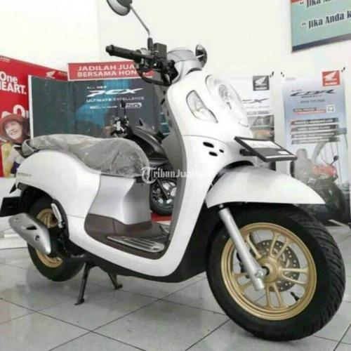 Motor Honda Scoopy 2021 Tipe Tertinggi Keyless Bekas Low Km Di 