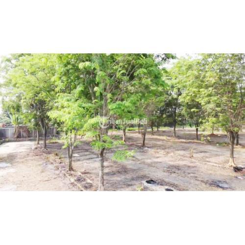 Sewa Lahan/Tanah di Depan Mall The Park Sawangan Luas 14.000 m2 Ex Pool Taxi - Depok