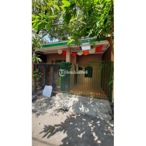 Rumah Minimalis Plamongan Indah Siap Huni