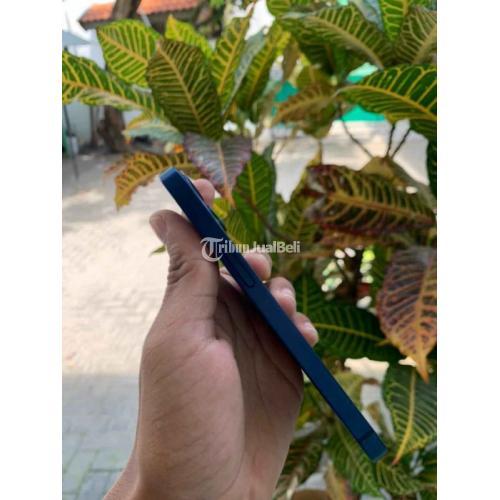 HP Apple iPhone 12 Mini 64GB Fullset Bekas iBox Mulus Nominus - Sampang