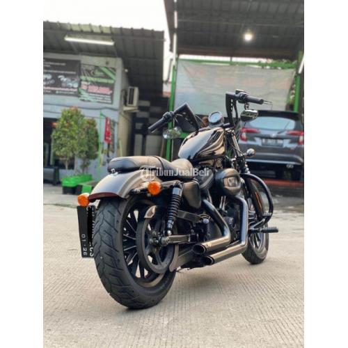 Jual store sportster 883