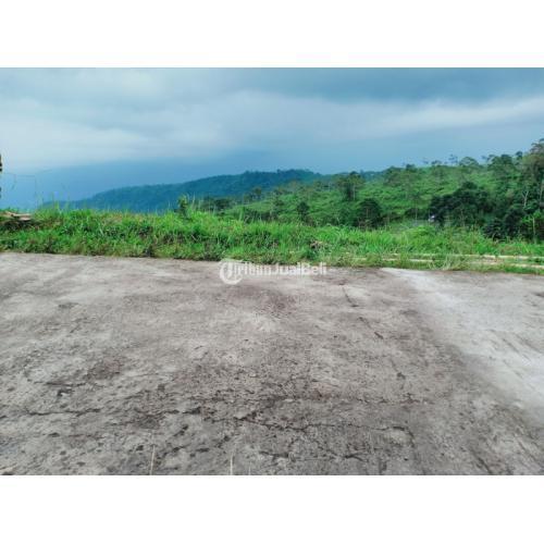 Tanah Strategis dibangun Villa/ Kaffe Kemuning Ngargoyoso Karanganyar