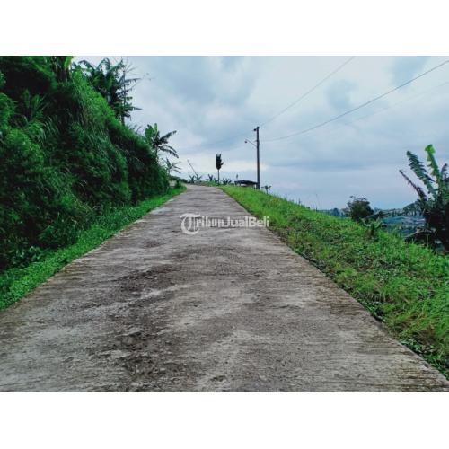 Tanah Strategis dibangun Villa/ Kaffe Kemuning Ngargoyoso Karanganyar