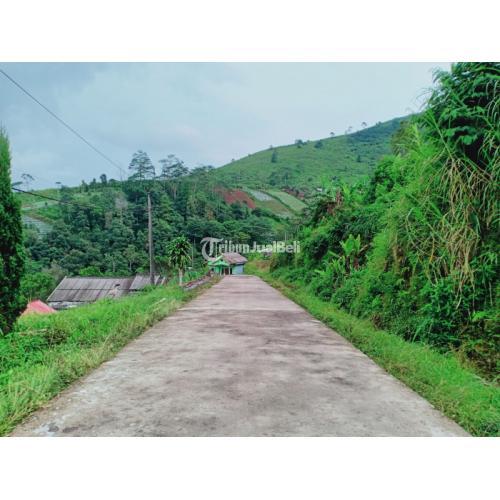 Tanah Strategis dibangun Villa/ Kaffe Kemuning Ngargoyoso Karanganyar