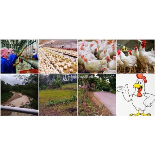 Jual Tanah RPA / RPH di Boyolali Harga Per Meter di Ngemplak Boyolali ...