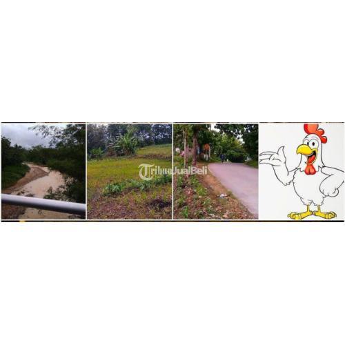 Jual Tanah RPA / RPH di Boyolali Harga Per Meter di Ngemplak Boyolali ...