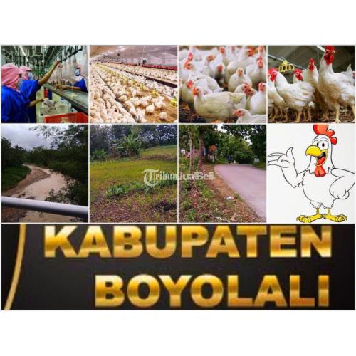 Jual Tanah RPA / RPH di Boyolali Harga Per Meter di Ngemplak Boyolali ...