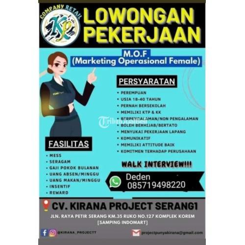 Platform Pasang Iklan Lowongan Kerja Online