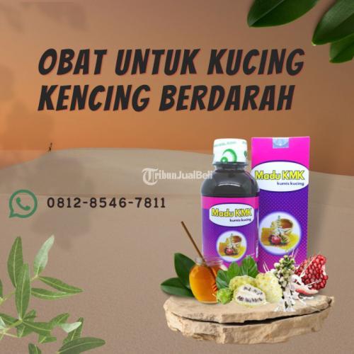 Obat Untuk Sakit Kencing Wanita Madu KMK (0812-8546-7811)