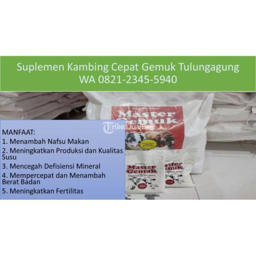 Premix Pakan Ternak Sapi Tulungagung