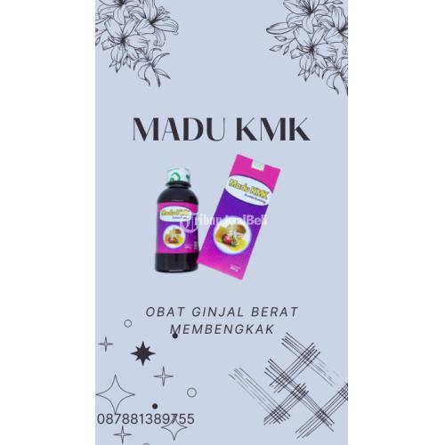 Obat Ginjal Berat Membengkak HALAL, WA 0878-8138-9755