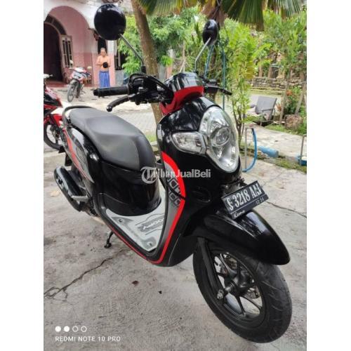 Motor Honda Scoopy Tahun 2019 Bekas Siap Pakai Harga Nego Di Lamongan ...