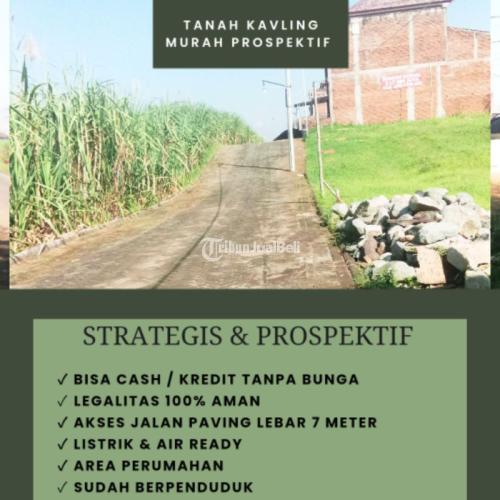 Dijual Tanah Kavling Murah Pakisaji - Malang