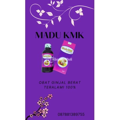 Obat Ginjal Berat Teralami TERJAMIN, WA 0878-8138-9755