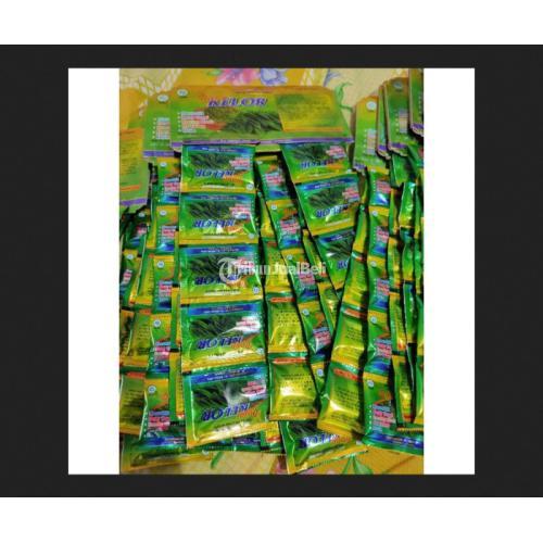 Daun Kelor Original (harga 10 hanger) jmggroup.store
