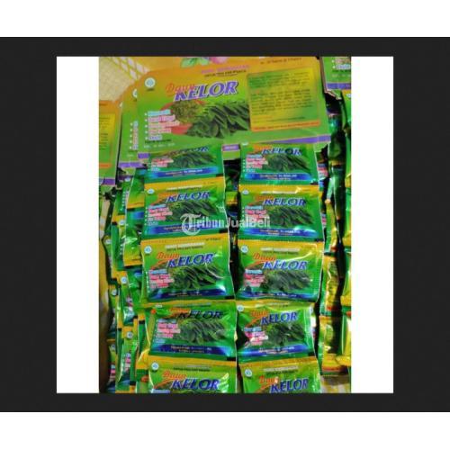 Daun Kelor Original (harga 10 hanger) jmggroup.store