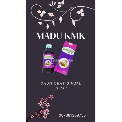 AMPUH, 0878-8138-9755 Daun Obat Ginjal Berat