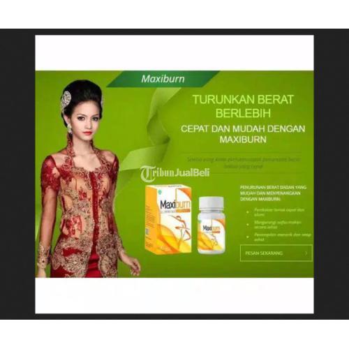 Maxiburn Obat Herbal Pelangsing Badan Alami Asli Original Terbaik jmggroup.store