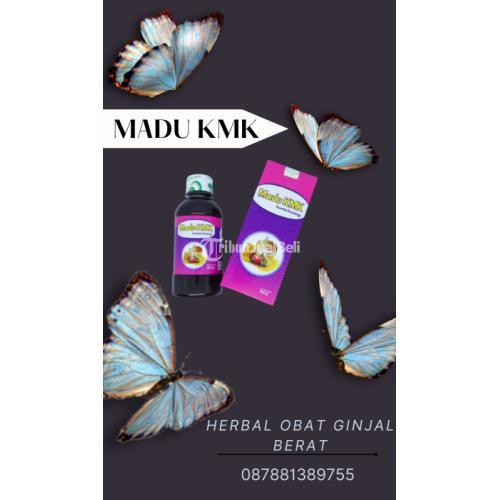 Herbal Obat Ginjal Berat TERBAIK, (0878-8138-9755)