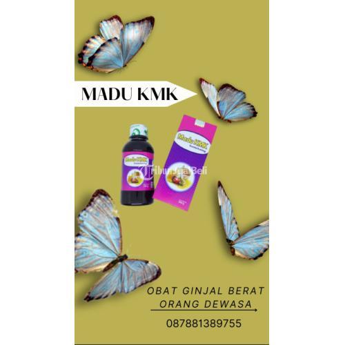 Obat Ginjal Berat Orang Dewasa AHLINYA, 087881389755