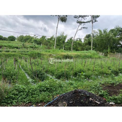 OPEN KAVLINGAN TERMURAH 3 JUTA/METER HARGA DIBAWAH PASARAN KOTA MALANG