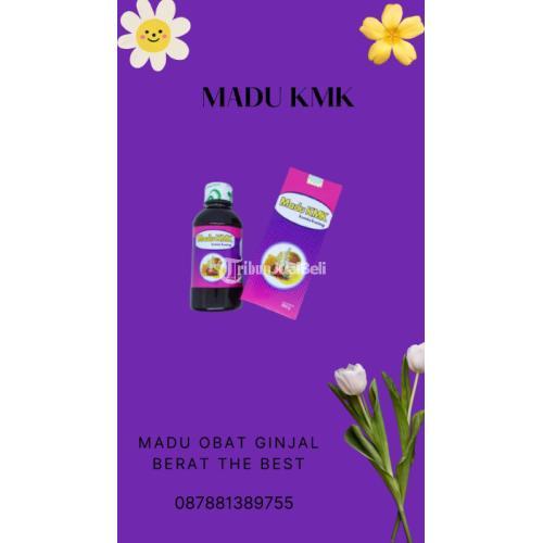 Madu Obat Ginjal Berat The Best TERBUKTI, (0878-8138-9755)