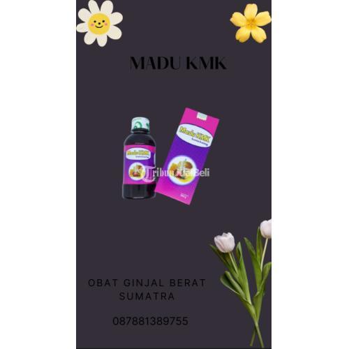 Obat Ginjal Berat Sumatra Berkualitas - Bekasi