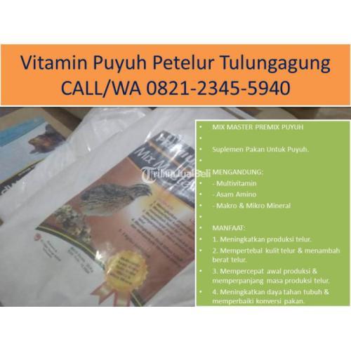Vitamin Buat Puyuh Harga Murah di Tulungagung - Tribun JualBeli