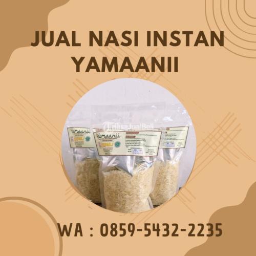 Penjual Briyani Instan Untuk Diet - Batu