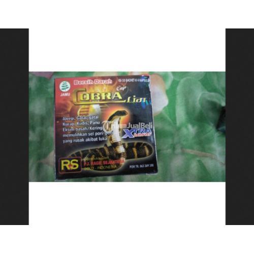 Jamu Kapsul Herbal untuk Penyakit Gatal Original - Jakarta Pusat