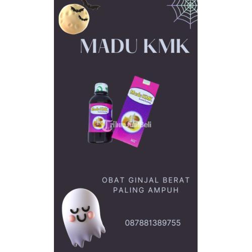 SPESIALIS, Tlp 0878-8138-9755 Obat Ginjal Berat Paling Ampuh