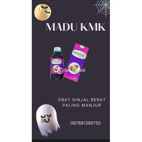 Obat Ginjal Berat Yang Asli