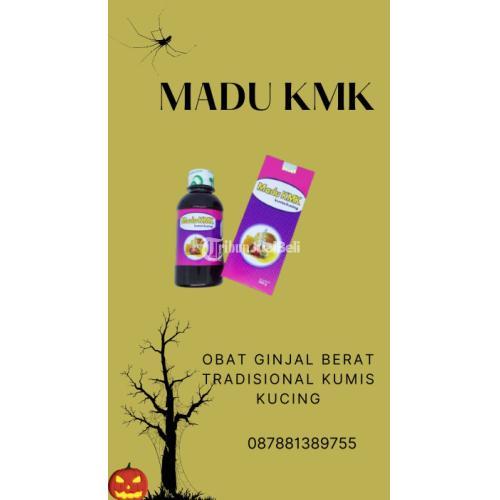 Obat Ginjal Berat Tradisional Kumis Kucing - Bekasi