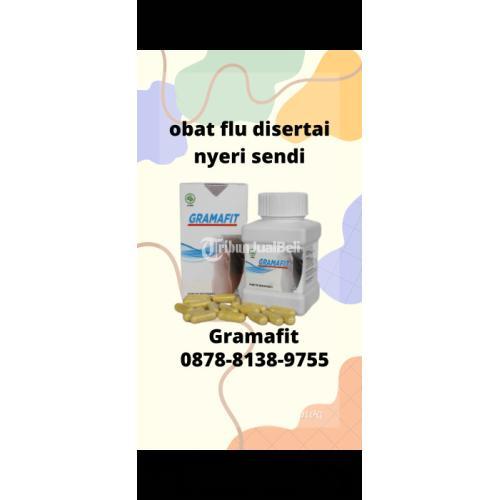 Sentral Obat Flu dan Nyeri Sendi Gramafit - Bekasi