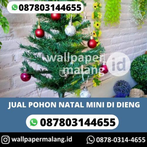 Pohon Natal Mini Harga Murah - Malang