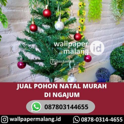 Pohon Natal Murah Kualitas Terbaik - Malang